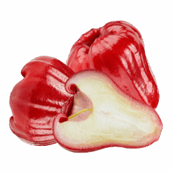 product-7