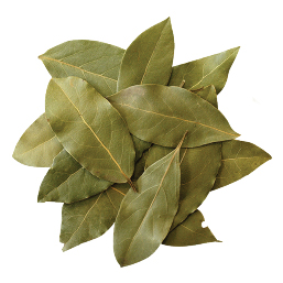 Bay Leaf (Biriyani Leaf)