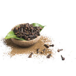 Cloves (Lavangam)