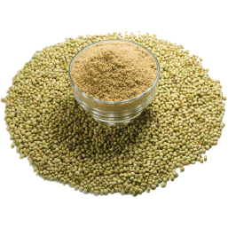 Coriander Powder