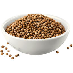 Coriander Seeds (Dhania)