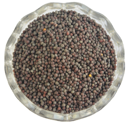 Mustard Seeds (Kadugu)