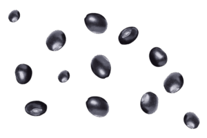 pngwing.com1 (1)