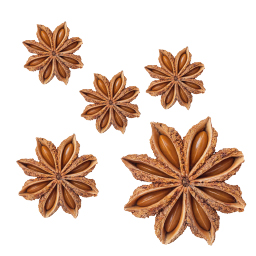 Star Anise