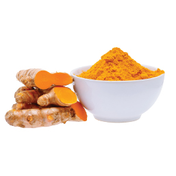 Turmeric Powder
